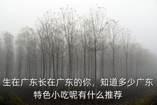 生在廣東長在廣東的你，知道多少廣東特色小吃呢有什么推薦