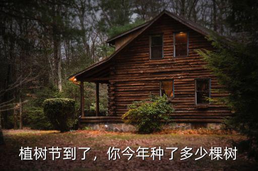 今年江門植樹多少錢一棵,你今年種了多少棵樹