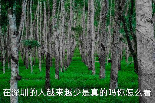 深圳外國(guó)人怎么那么少,為什么深圳的國(guó)際航班那么少