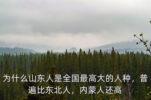 為什么山東人是全國最高大的人種，普遍比東北人，內(nèi)蒙人還高