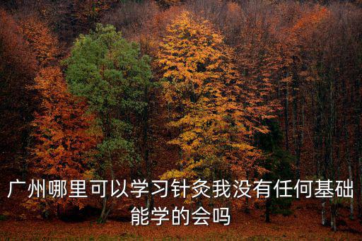 廣州哪里能學正骨,廣州哪里可以學習針灸