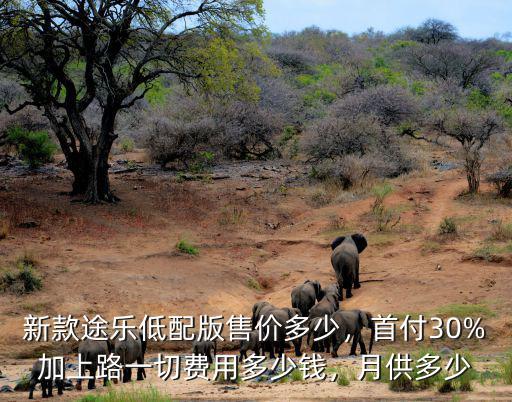杭州新款途樂多少錢,途樂20新款SE多少錢