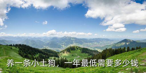 養(yǎng)一條小土狗，一年最低需要多少錢