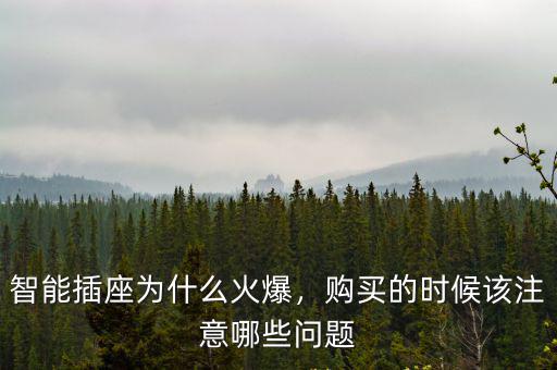 江門智能插座哪里買,智能插座現在買的人多嗎