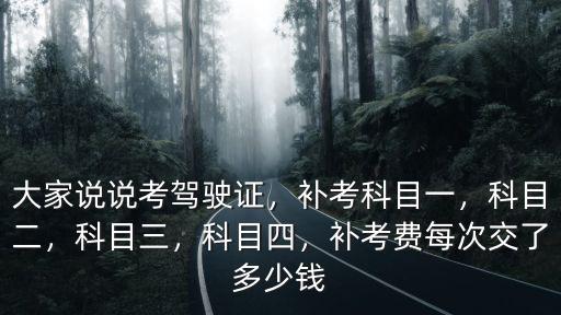 大家說說考駕駛證，補考科目一，科目二，科目三，科目四，補考費每次交了多少錢