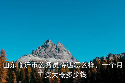 山東市級普通公務員工資多少,山東聊城市公務員待遇怎么樣