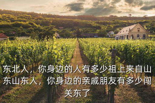 山東一個村子大概有多少人,東北人中有多少山東人的后代