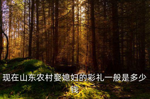 現(xiàn)在山東農(nóng)村娶媳婦的彩禮一般是多少錢