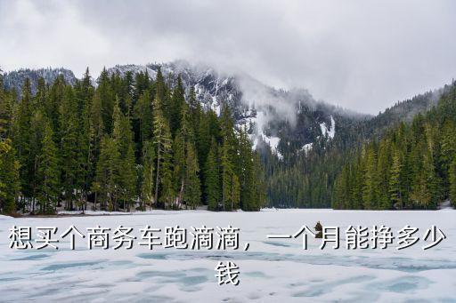 杭州滴滴車(chē)一個(gè)月掙多少錢(qián),新手一個(gè)月能賺多少錢(qián)