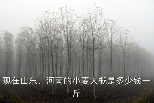 7月山東小麥多少錢一斤,河南的小麥大概是多少錢一斤