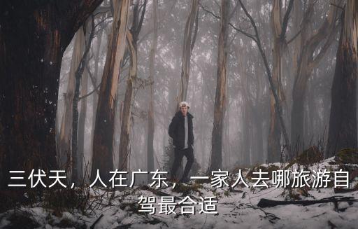 廣東人開車去哪里找,在廣州及周邊一個人開車