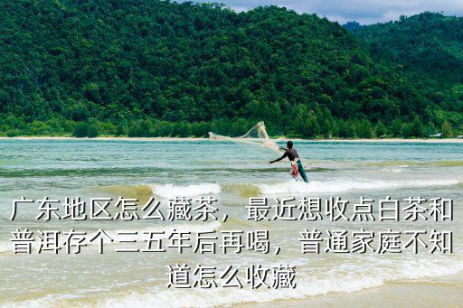 廣東地區(qū)怎么藏茶，最近想收點(diǎn)白茶和普洱存?zhèn)€三五年后再喝，普通家庭不知道怎么收藏