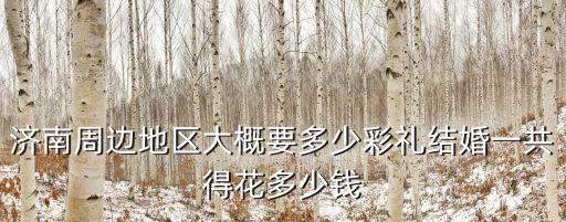 濟(jì)南哪里有全套多少錢,在濟(jì)南理發(fā)多少錢