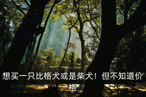 想買一只比格犬或是柴犬！但不知道價格
