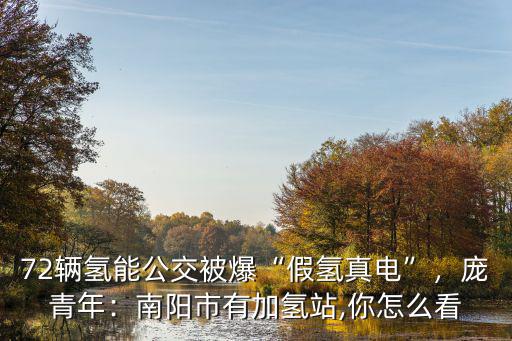 72輛氫能公交被爆“假氫真電”，龐青年：南陽市有加氫站,你怎么看