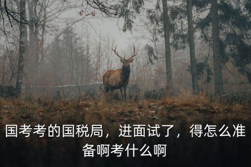 中山國稅局多少分進面試,國考考的國稅局