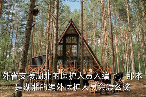 外省支援湖北的醫護人員入編了，那本是湖北的編外醫護人員會怎么獎
