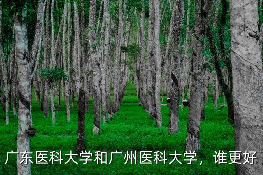 廣東醫科大學和廣州醫科大學，誰更好