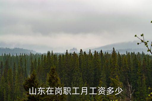 山東在崗職工月工資多少