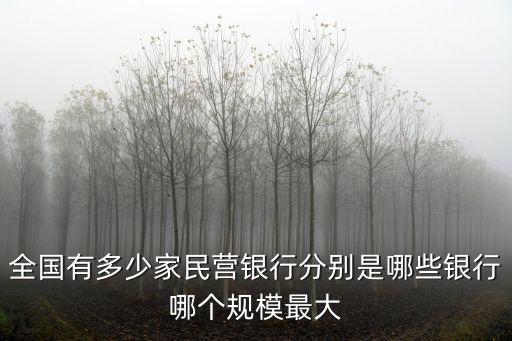 浙江有多少民營銀行,全國有多少家民營銀行