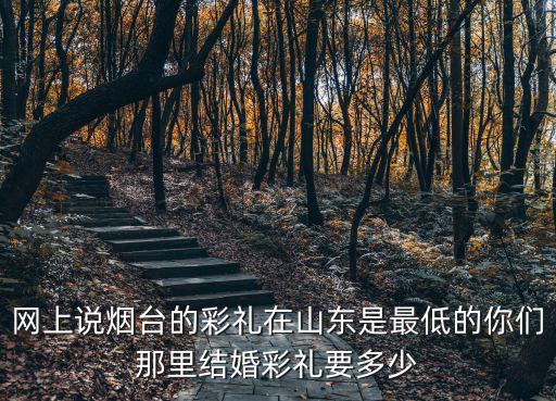 網上說煙臺的彩禮在山東是最低的你們那里結婚彩禮要多少