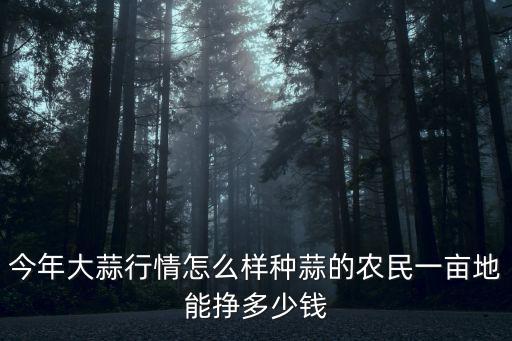 今年大蒜行情怎么樣種蒜的農民一畝地能掙多少錢