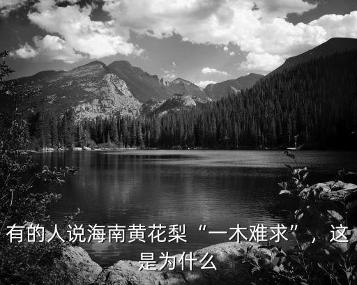 有的人說海南黃花梨“一木難求”，這是為什么