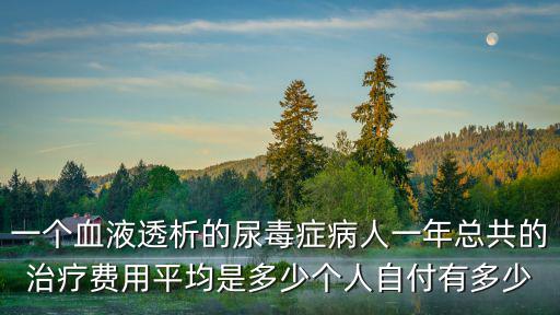 一個血液透析的尿毒癥病人一年總共的治療費用平均是多少個人自付有多少