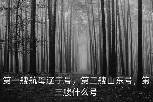 山東號航母模型多少錢,第二艘山東號