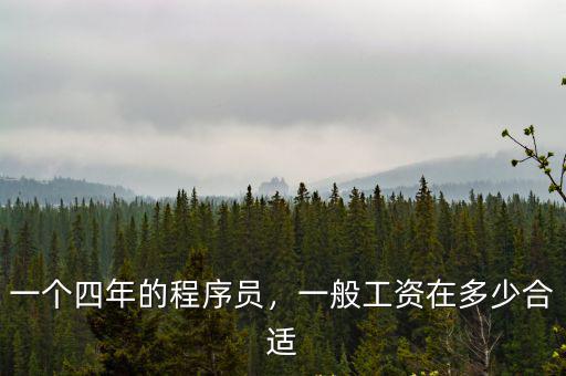 深圳程序員一般工資多少錢一個月,一個四年的程序員