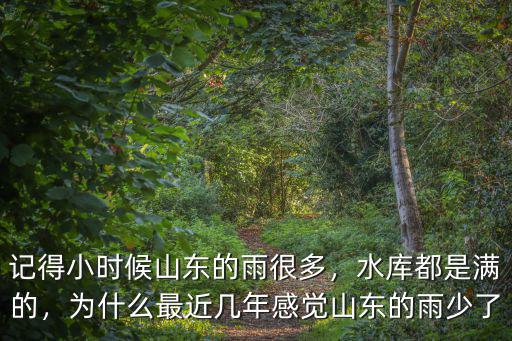 山東今年的降雨量能有多少,山東今年雨量大嗎