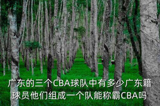 現在廣東藍球隊有多少人,廣東宏遠到底有多少本土球員