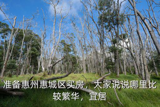 準備惠州惠城區買房，大家說說哪里比較繁華，宜居