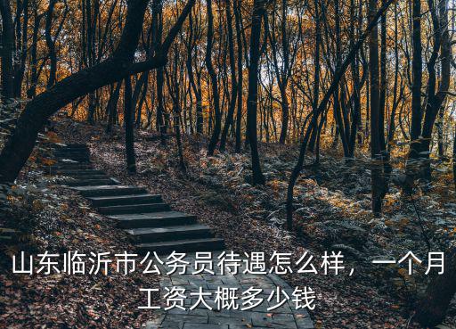 山東省臨沂市村長工資多少,一個月工資大概多少錢