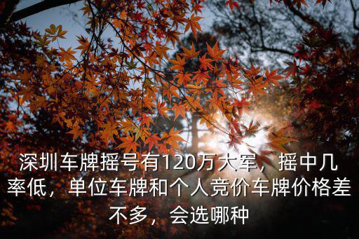 深圳個人可以有多少車牌,我有一個深圳車牌指標
