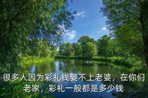 很多人因為彩禮錢娶不上老婆，在你們老家，彩禮一般都是多少錢