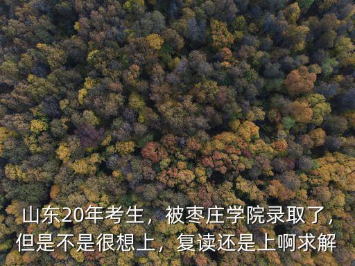 棗莊大學(xué)多少分能上,分?jǐn)?shù)443分能上什么大學(xué)啊