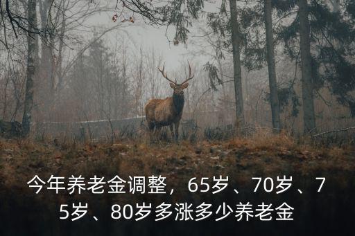 山東65歲以上養老金上漲多少,80歲多漲多少養老金