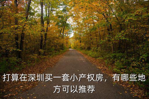 深圳小產(chǎn)權(quán)在哪里,打算在深圳買一套小產(chǎn)權(quán)房