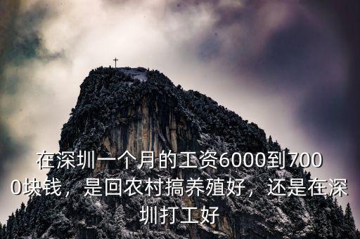 在深圳工作一個月工資多少,在深圳進工廠打工