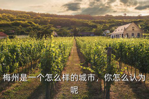怎么評價梅州城市,如何評價梅州這座城市