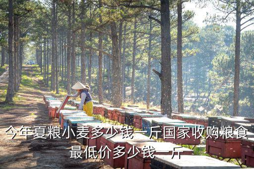 今年夏糧小麥多少錢一斤國家收購糧食最低價(jià)多少錢一斤