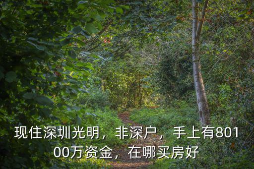 深圳手上資金80萬(wàn)買房推薦哪里,100萬(wàn)資金