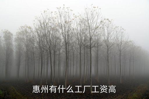惠州有什么工廠工資高