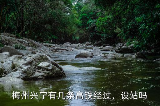 梅州興寧有幾條高鐵經過，設站嗎