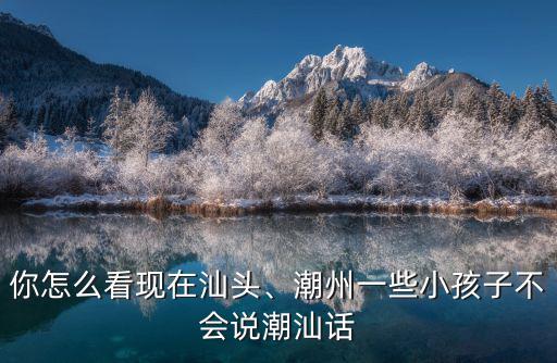 你怎么看現(xiàn)在汕頭、潮州一些小孩子不會(huì)說(shuō)潮汕話