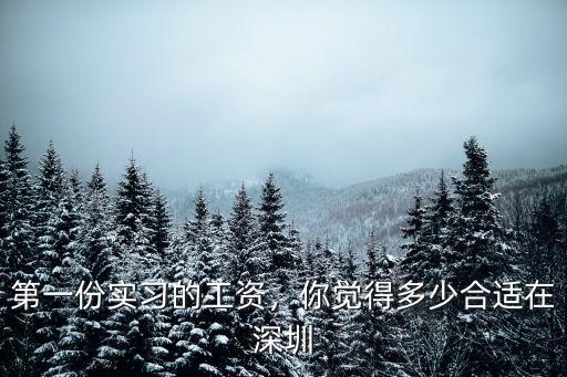 深圳外貿(mào)實(shí)習(xí)生工資多少,在深圳實(shí)習(xí)生3500