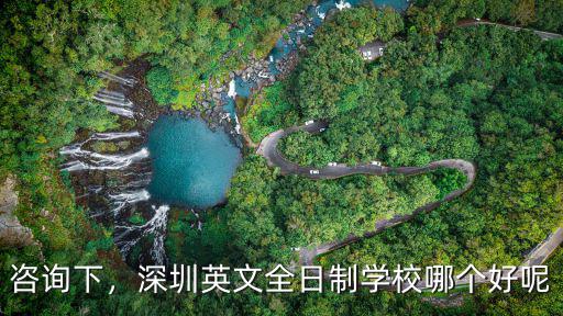 咨詢下，深圳英文全日制學校哪個好呢