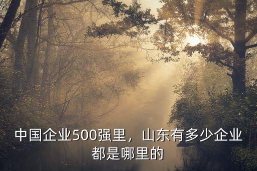 山東有多少家皂粉企業(yè),中國(guó)企業(yè)500強(qiáng)里