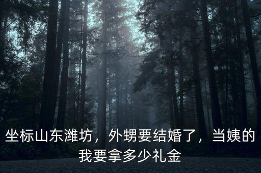 坐標山東濰坊，外甥要結婚了，當姨的我要拿多少禮金